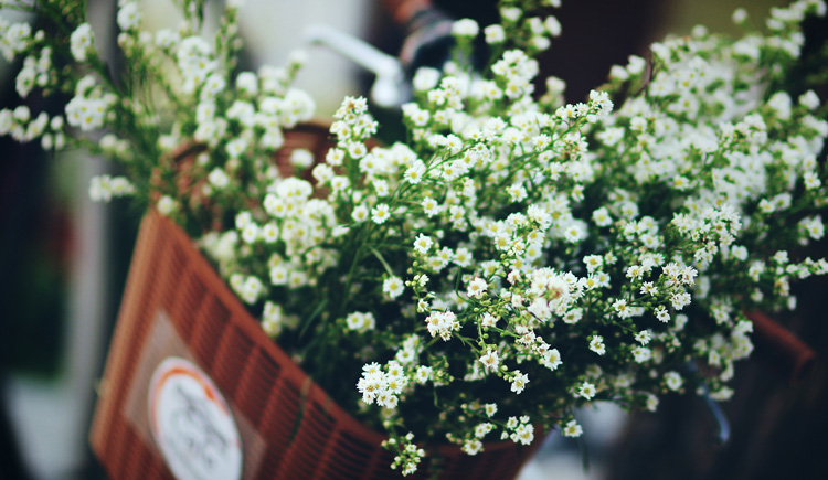 瑭塘的个人主页（封面预览） - 主页封面设置 - 站酷设计师瑭塘原创素材 - 站酷ZCOOL