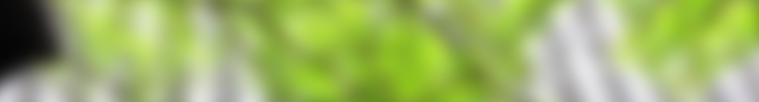 綠兮依的個(gè)人主頁(yè)（封面預(yù)覽） - 主頁(yè)封面設(shè)置 - 站酷設(shè)計(jì)師綠兮依原創(chuàng)素材 - 站酷ZCOOL