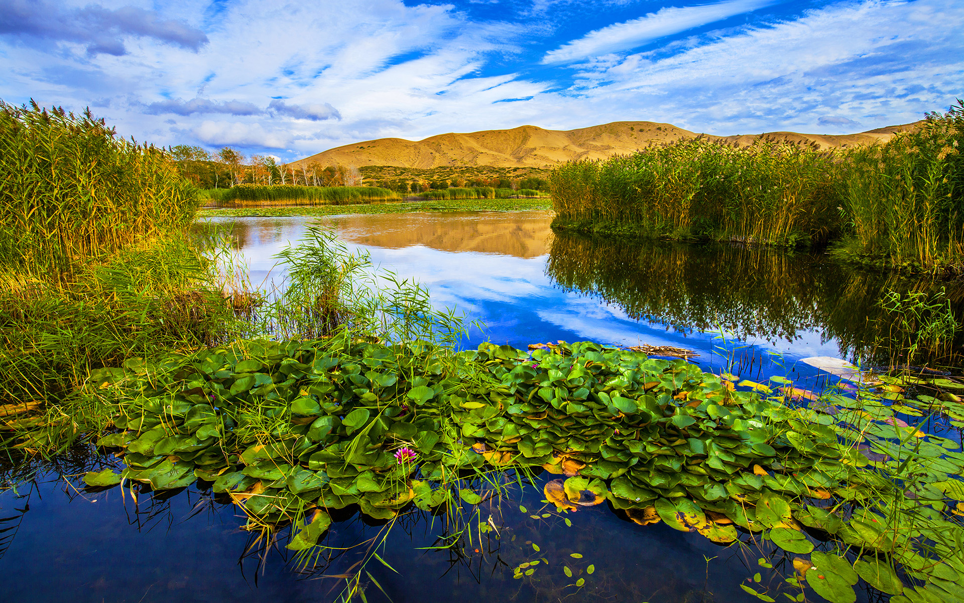 清冽的風(fēng)的個(gè)人主頁（封面預(yù)覽） - 主頁封面設(shè)置 - 站酷設(shè)計(jì)師清冽的風(fēng)原創(chuàng)素材 - 站酷ZCOOL