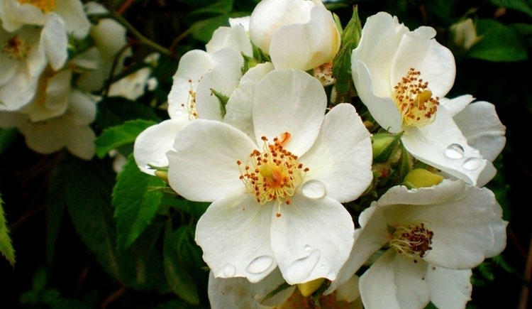 薛定谔的猫666的个人主页（封面预览） - 主页封面设置 - 站酷设计师薛定谔的猫666原创素材 - 站酷ZCOOL