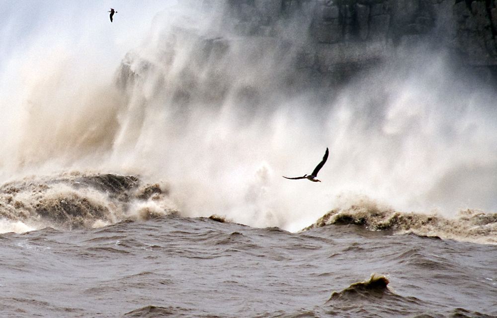 花纖骨的個人主頁（封面預(yù)覽） - 主頁封面設(shè)置 - 站酷設(shè)計師花纖骨原創(chuàng)素材 - 站酷ZCOOL