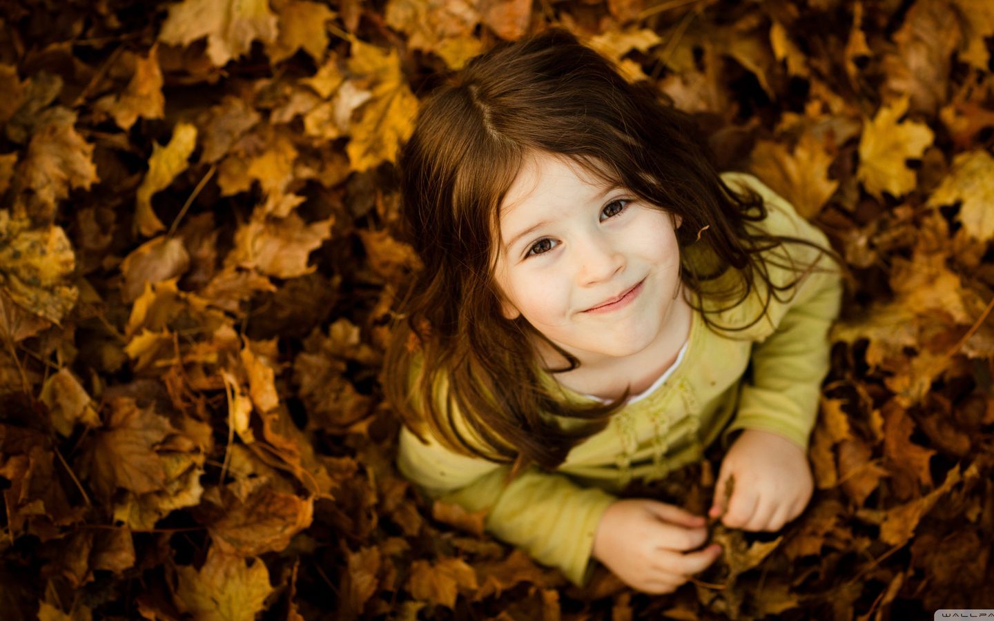 我的乔巴的个人主页（封面预览） - 主页封面设置 - 站酷设计师我的乔巴原创素材 - 站酷ZCOOL