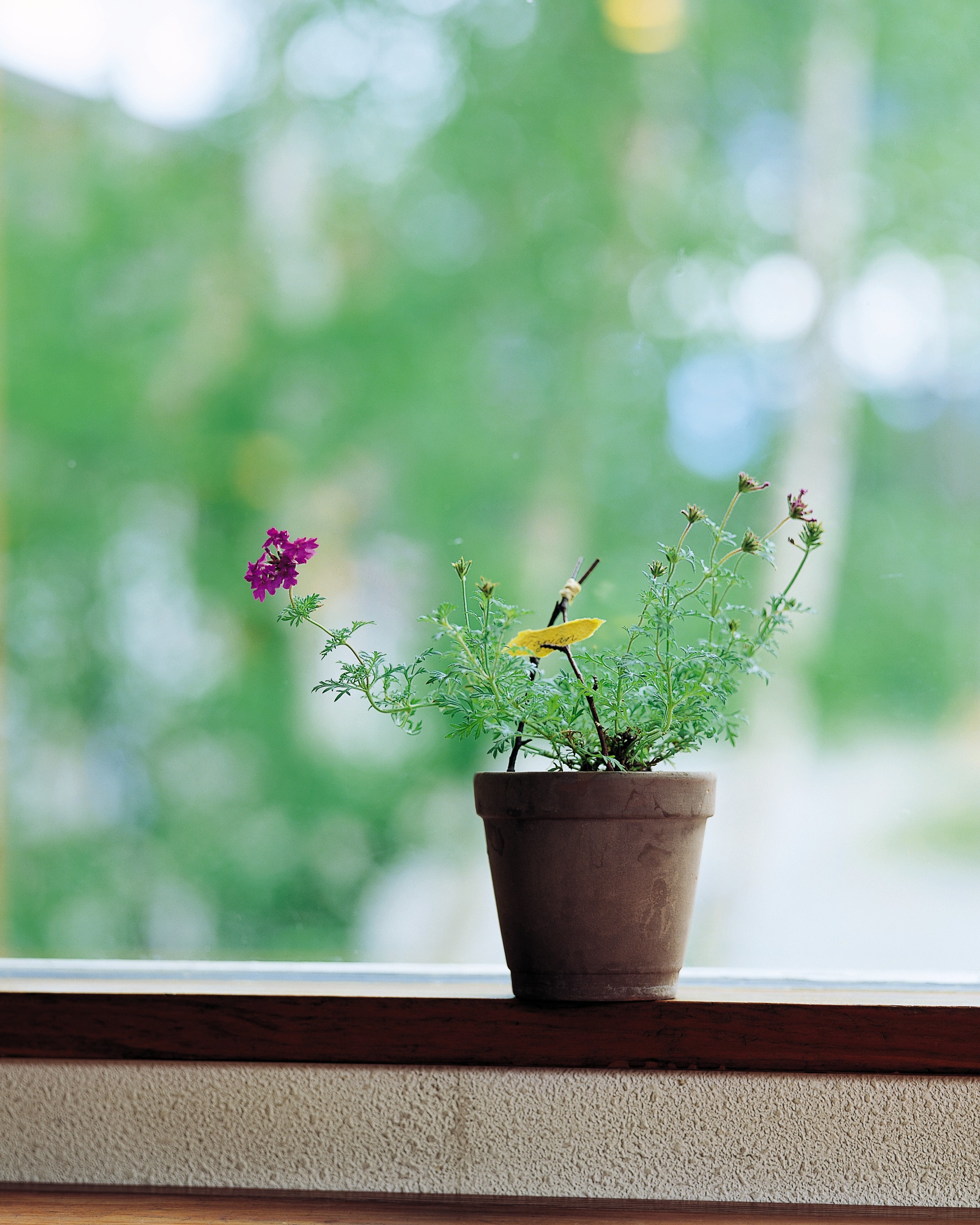 qiubiteququ的个人主页（封面预览） - 主页封面设置 - 站酷设计师qiubiteququ原创素材 - 站酷ZCOOL