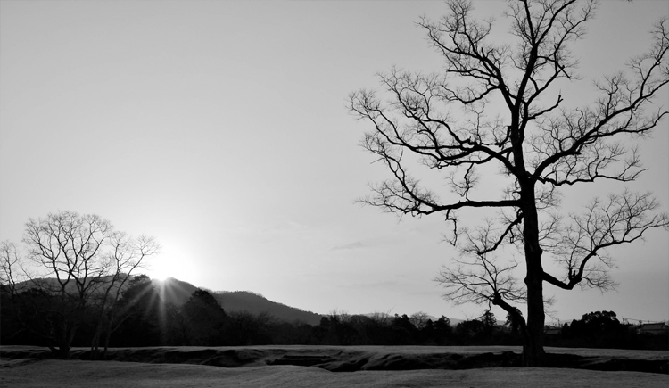 文子快跑的个人主页（封面预览） - 主页封面设置 - 站酷设计师文子快跑原创素材 - 站酷ZCOOL