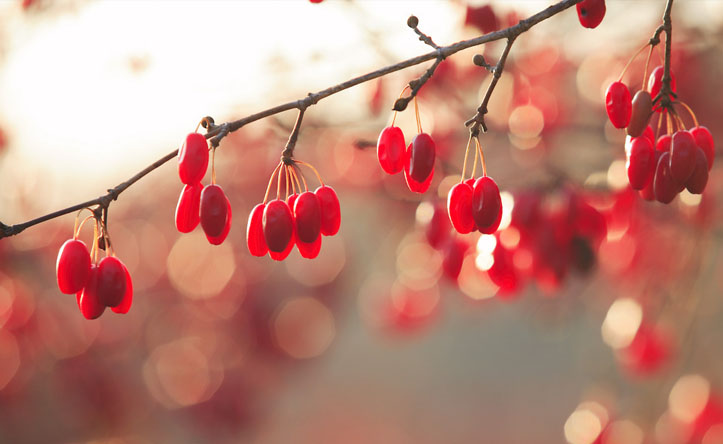 喜欢塞塞的猫的个人主页（封面预览） - 主页封面设置 - 站酷设计师喜欢塞塞的猫原创素材 - 站酷ZCOOL