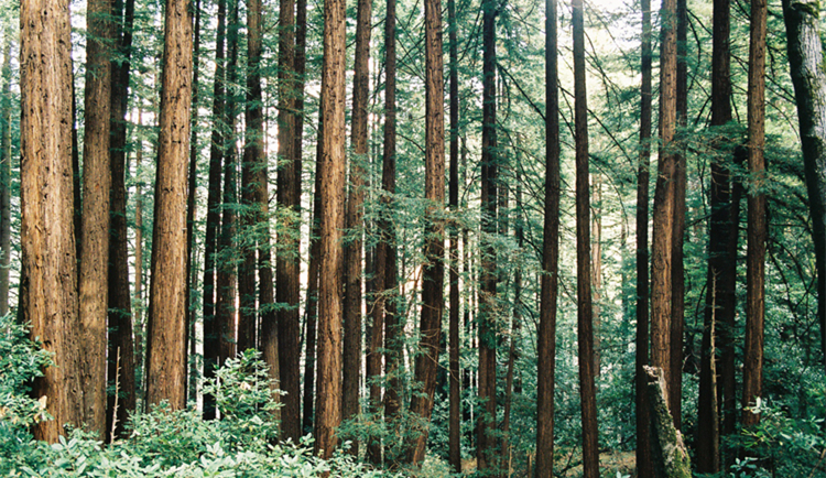 V巴大的个人主页（封面预览） - 主页封面设置 - 站酷设计师V巴大原创素材 - 站酷ZCOOL