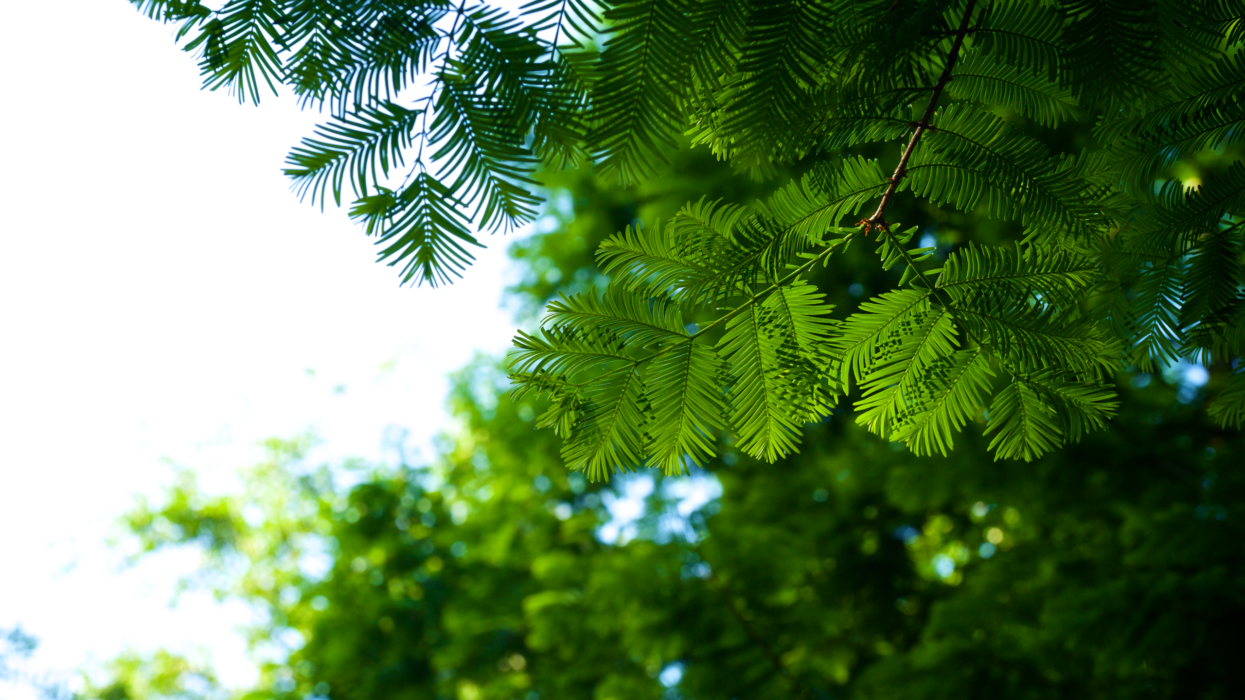 744168298的个人主页（封面预览） - 主页封面设置 - 站酷设计师744168298原创素材 - 站酷ZCOOL