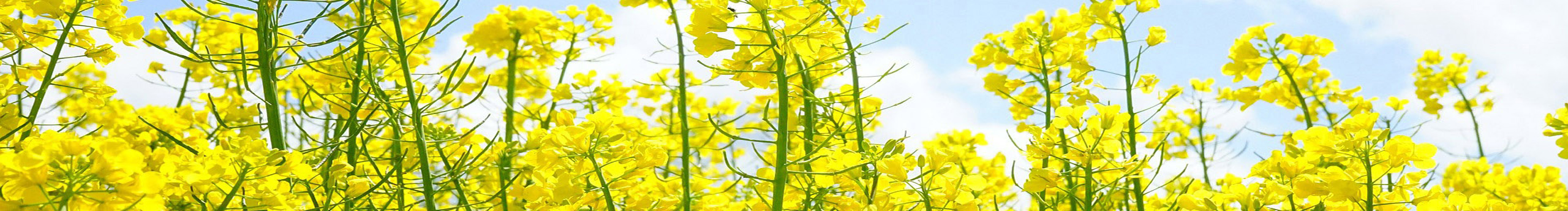 shuer504的個(gè)人主頁(yè)（封面預(yù)覽） - 主頁(yè)封面設(shè)置 - 站酷設(shè)計(jì)師shuer504原創(chuàng)素材 - 站酷ZCOOL