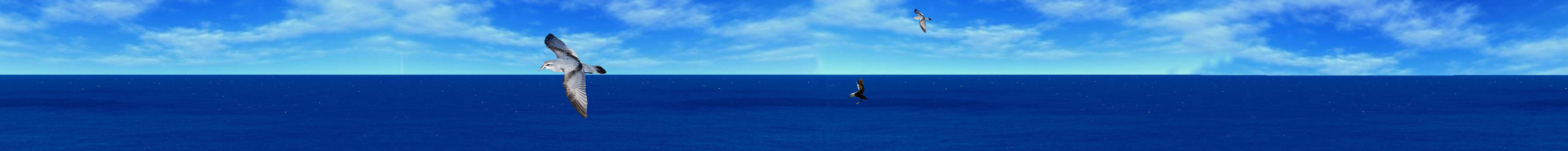 katawxy的個人主頁（封面預(yù)覽） - 主頁封面設(shè)置 - 站酷設(shè)計師katawxy原創(chuàng)素材 - 站酷ZCOOL