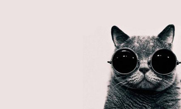 carolpxy的个人主页（封面预览） - 主页封面设置 - 站酷设计师carolpxy原创素材 - 站酷ZCOOL