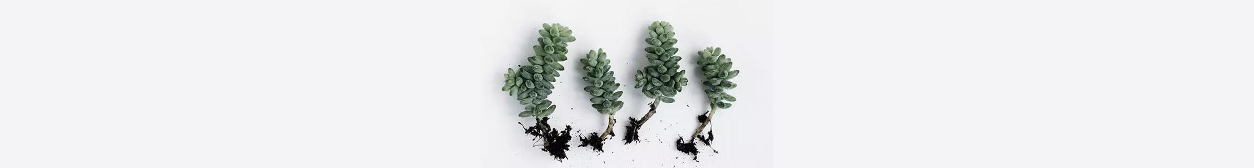 東根的個(gè)人主頁(yè)（封面預(yù)覽） - 主頁(yè)封面設(shè)置 - 站酷設(shè)計(jì)師東根原創(chuàng)素材 - 站酷ZCOOL