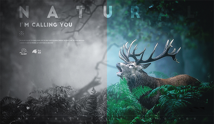 黑白画映_的个人主页（封面预览） - 主页封面设置 - 站酷设计师黑白画映_原创素材 - 站酷ZCOOL