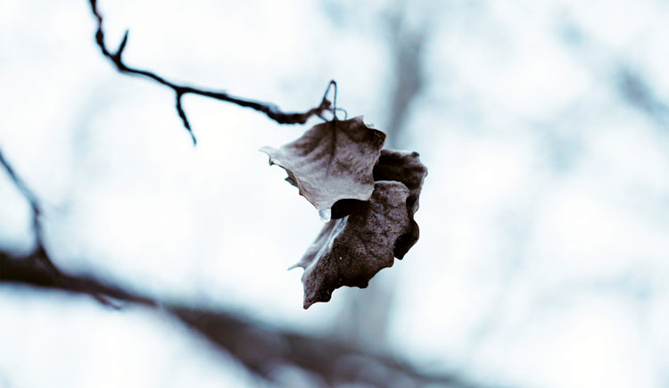 shilihua_2007的個(gè)人主頁(yè)（封面預(yù)覽） - 主頁(yè)封面設(shè)置 - 站酷設(shè)計(jì)師shilihua_2007原創(chuàng)素材 - 站酷ZCOOL