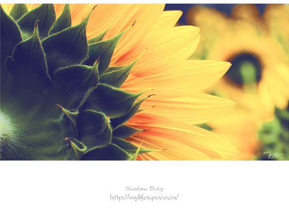 Qiaojie的個人主頁（封面預(yù)覽） - 主頁封面設(shè)置 - 站酷設(shè)計師Qiaojie原創(chuàng)素材 - 站酷ZCOOL