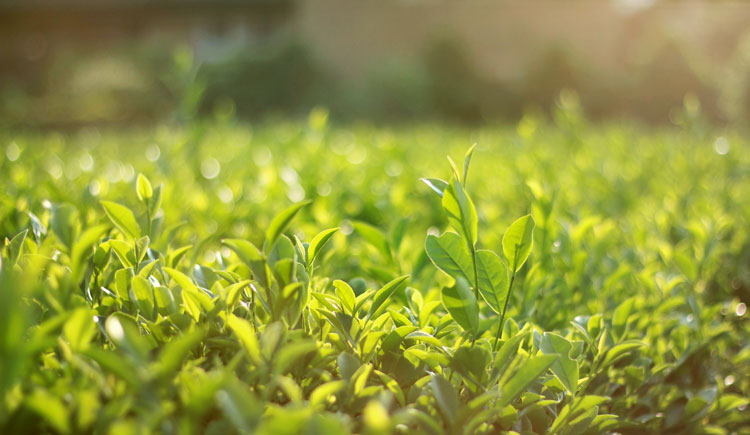 丁满仔的个人主页（封面预览） - 主页封面设置 - 站酷设计师丁满仔原创素材 - 站酷ZCOOL