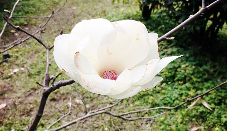 123設(shè)計(jì)者的個(gè)人主頁(yè)（封面預(yù)覽） - 主頁(yè)封面設(shè)置 - 站酷設(shè)計(jì)師123設(shè)計(jì)者原創(chuàng)素材 - 站酷ZCOOL