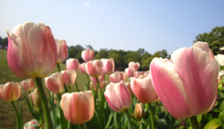 wchm1990的個人主頁（封面預覽） - 主頁封面設置 - 站酷設計師wchm1990原創(chuàng)素材 - 站酷ZCOOL