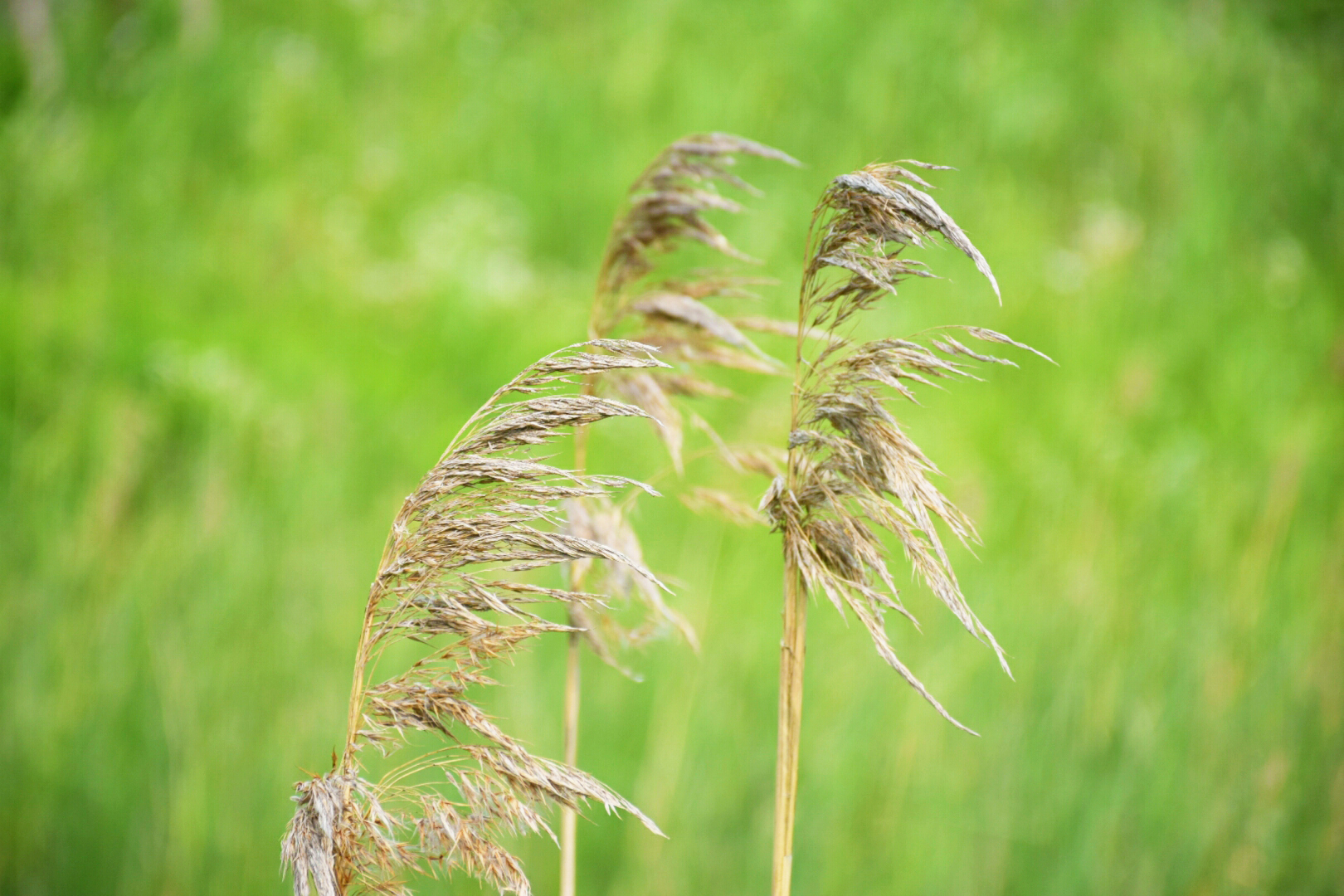 纲哥很闲的个人主页（封面预览） - 主页封面设置 - 站酷设计师纲哥很闲原创素材 - 站酷ZCOOL