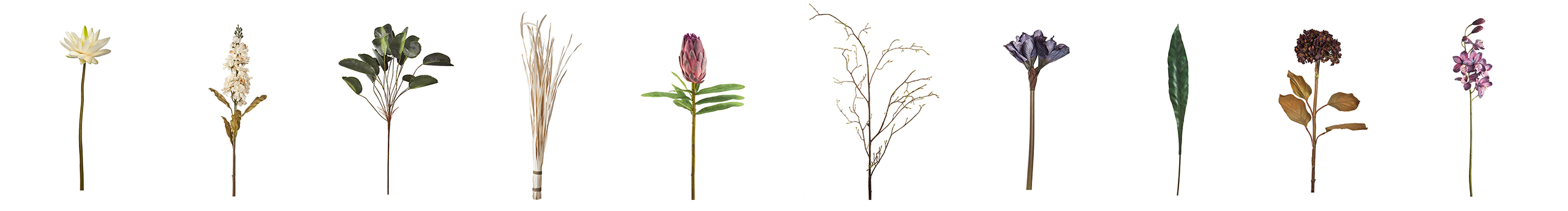 BabyMona的個(gè)人主頁(yè)（封面預(yù)覽） - 主頁(yè)封面設(shè)置 - 站酷設(shè)計(jì)師BabyMona原創(chuàng)素材 - 站酷ZCOOL