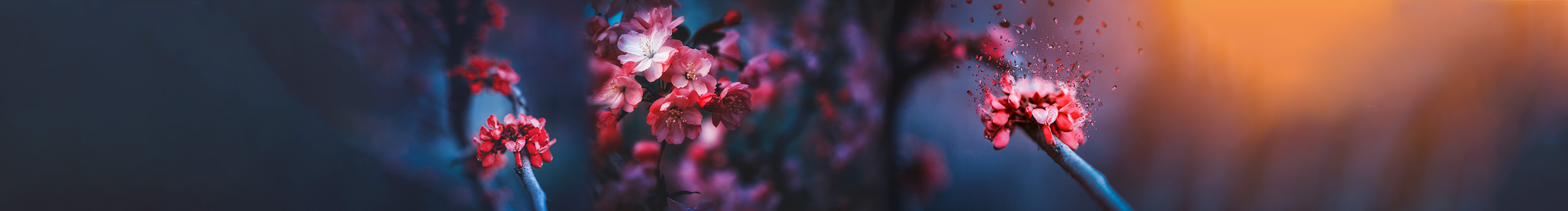 神成先生的個人主頁（封面預(yù)覽） - 主頁封面設(shè)置 - 站酷設(shè)計師神成先生原創(chuàng)素材 - 站酷ZCOOL