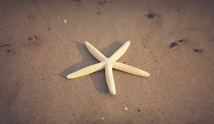 小猪xiao的个人主页（封面预览） - 主页封面设置 - 站酷设计师小猪xiao原创素材 - 站酷ZCOOL