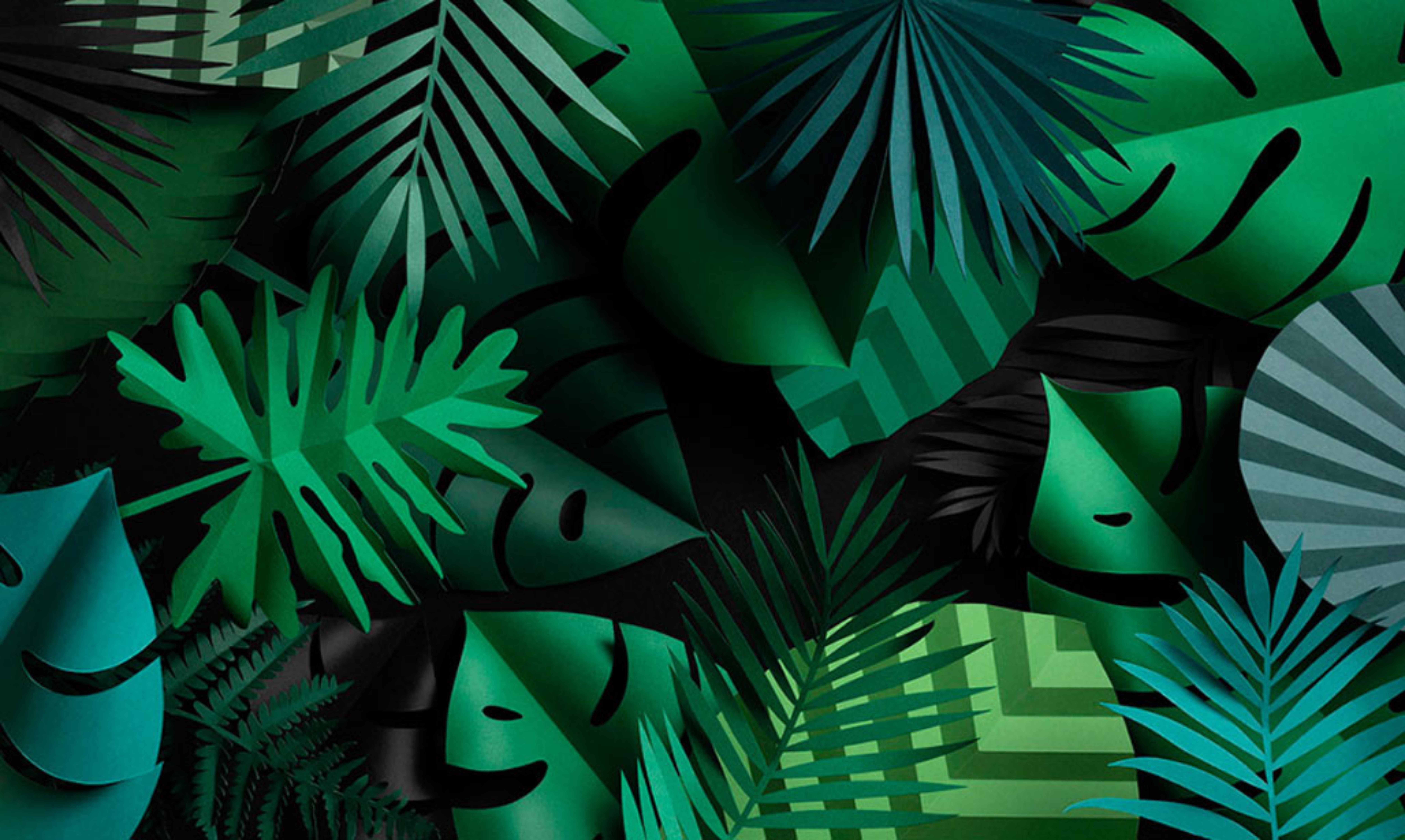 等一個晴天315的個人主頁（封面預(yù)覽） - 主頁封面設(shè)置 - 站酷設(shè)計(jì)師等一個晴天315原創(chuàng)素材 - 站酷ZCOOL