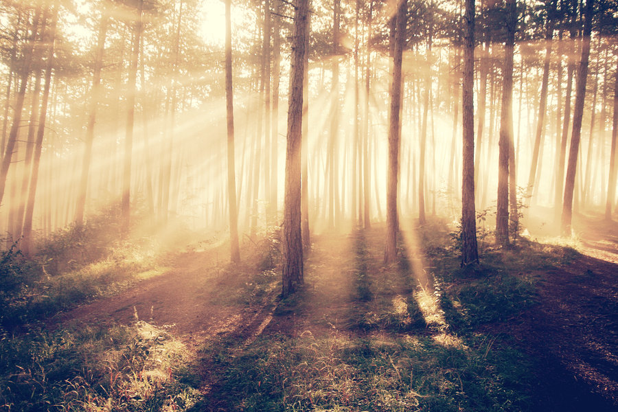 惠子手的個人主頁（封面預覽） - 主頁封面設置 - 站酷設計師惠子手原創(chuàng)素材 - 站酷ZCOOL