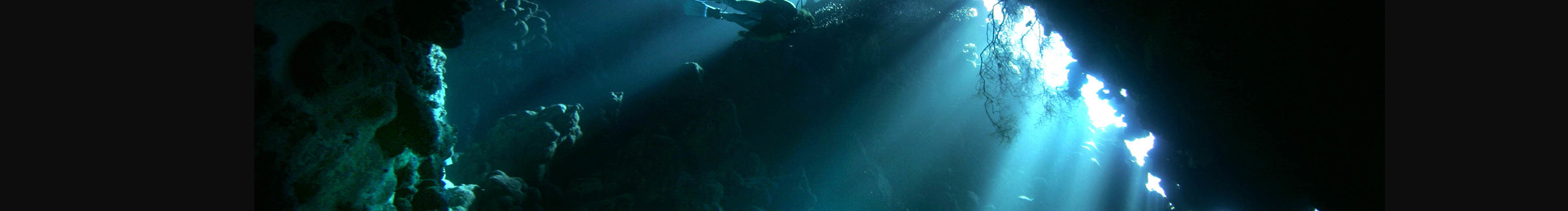 tj天际的个人主页（封面预览） - 主页封面设置 - 站酷设计师tj天际原创素材 - 站酷ZCOOL