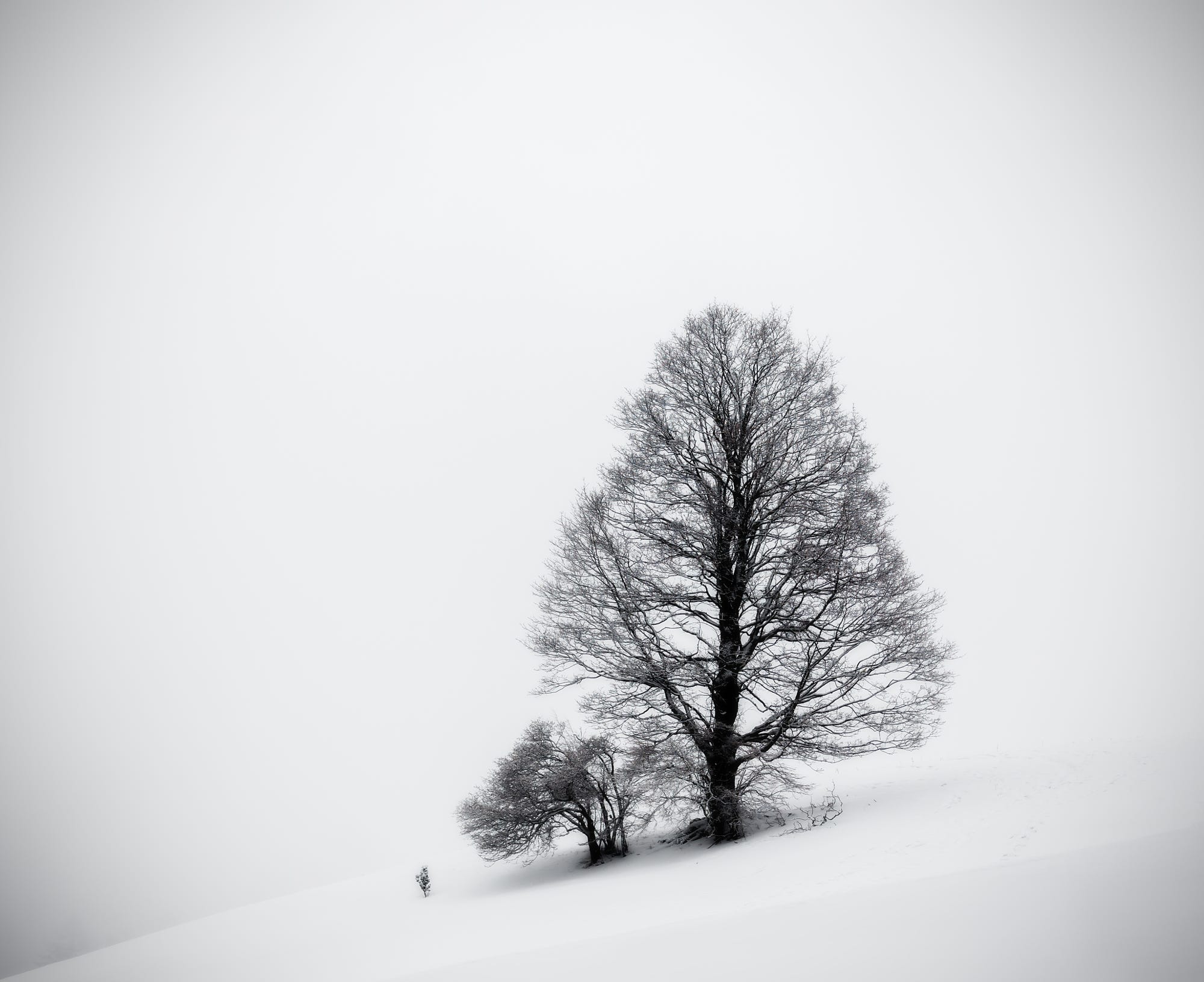 Nisno的个人主页（封面预览） - 主页封面设置 - 站酷设计师Nisno原创素材 - 站酷ZCOOL