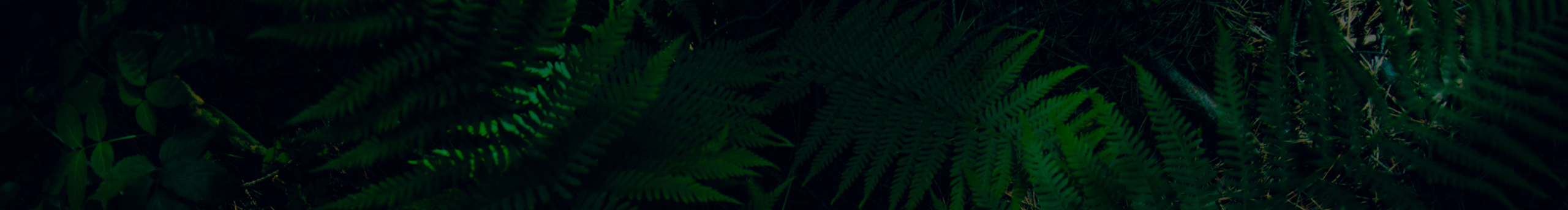 Mounest的个人主页（封面预览） - 主页封面设置 - 站酷设计师Mounest原创素材 - 站酷ZCOOL