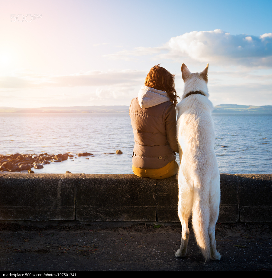 一切還好啦1的個(gè)人主頁(yè)（封面預(yù)覽） - 主頁(yè)封面設(shè)置 - 站酷設(shè)計(jì)師一切還好啦1原創(chuàng)素材 - 站酷ZCOOL