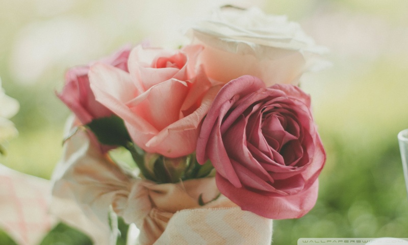 林晓曦的个人主页（封面预览） - 主页封面设置 - 站酷设计师林晓曦原创素材 - 站酷ZCOOL