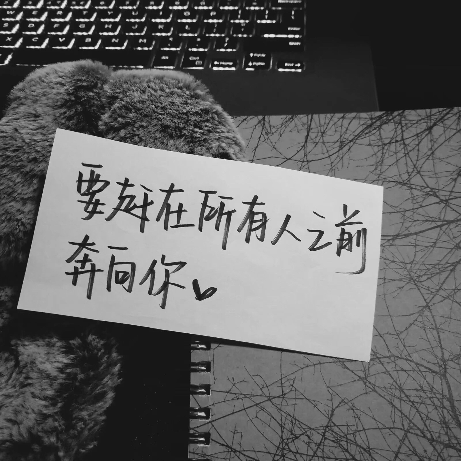 時(shí)小愿的個(gè)人主頁（封面預(yù)覽） - 主頁封面設(shè)置 - 站酷設(shè)計(jì)師時(shí)小愿原創(chuàng)素材 - 站酷ZCOOL