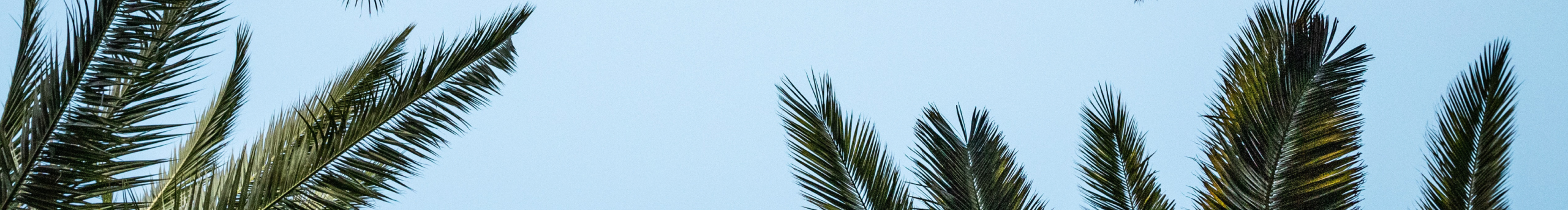 玉米肉粒飯的個人主頁（封面預覽） - 主頁封面設置 - 站酷設計師玉米肉粒飯原創(chuàng)素材 - 站酷ZCOOL