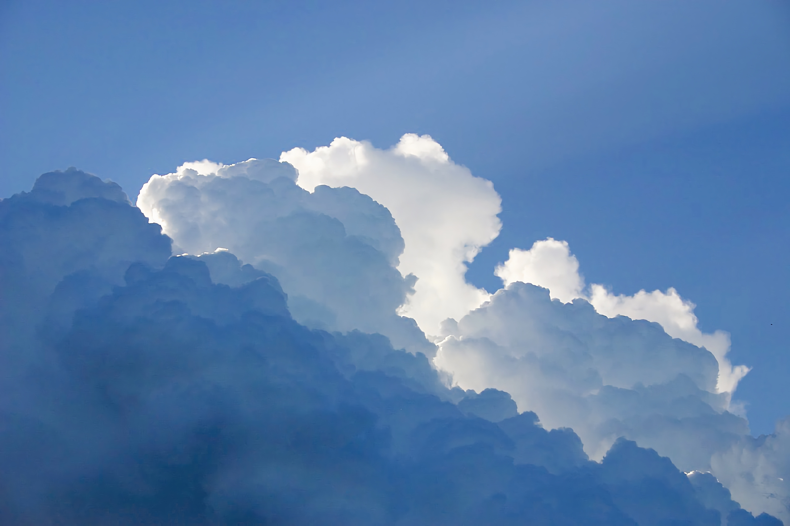 zeng远远的个人主页（封面预览） - 主页封面设置 - 站酷设计师zeng远远原创素材 - 站酷ZCOOL