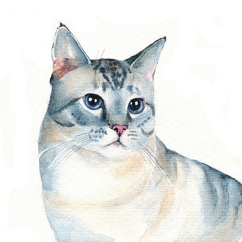 短叹的个人主页（封面预览） - 主页封面设置 - 站酷设计师短叹原创素材 - 站酷ZCOOL