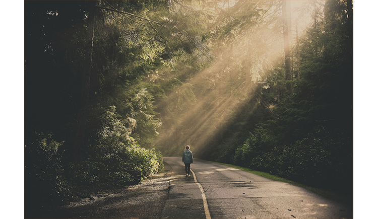 hailinwei的个人主页（封面预览） - 主页封面设置 - 站酷设计师hailinwei原创素材 - 站酷ZCOOL