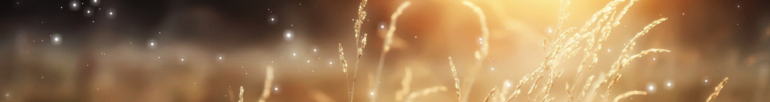 十四不唱歌的个人主页（封面预览） - 主页封面设置 - 站酷设计师十四不唱歌原创素材 - 站酷ZCOOL