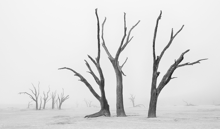 冷巷的個人主頁（封面預覽） - 主頁封面設置 - 站酷設計師冷巷原創(chuàng)素材 - 站酷ZCOOL