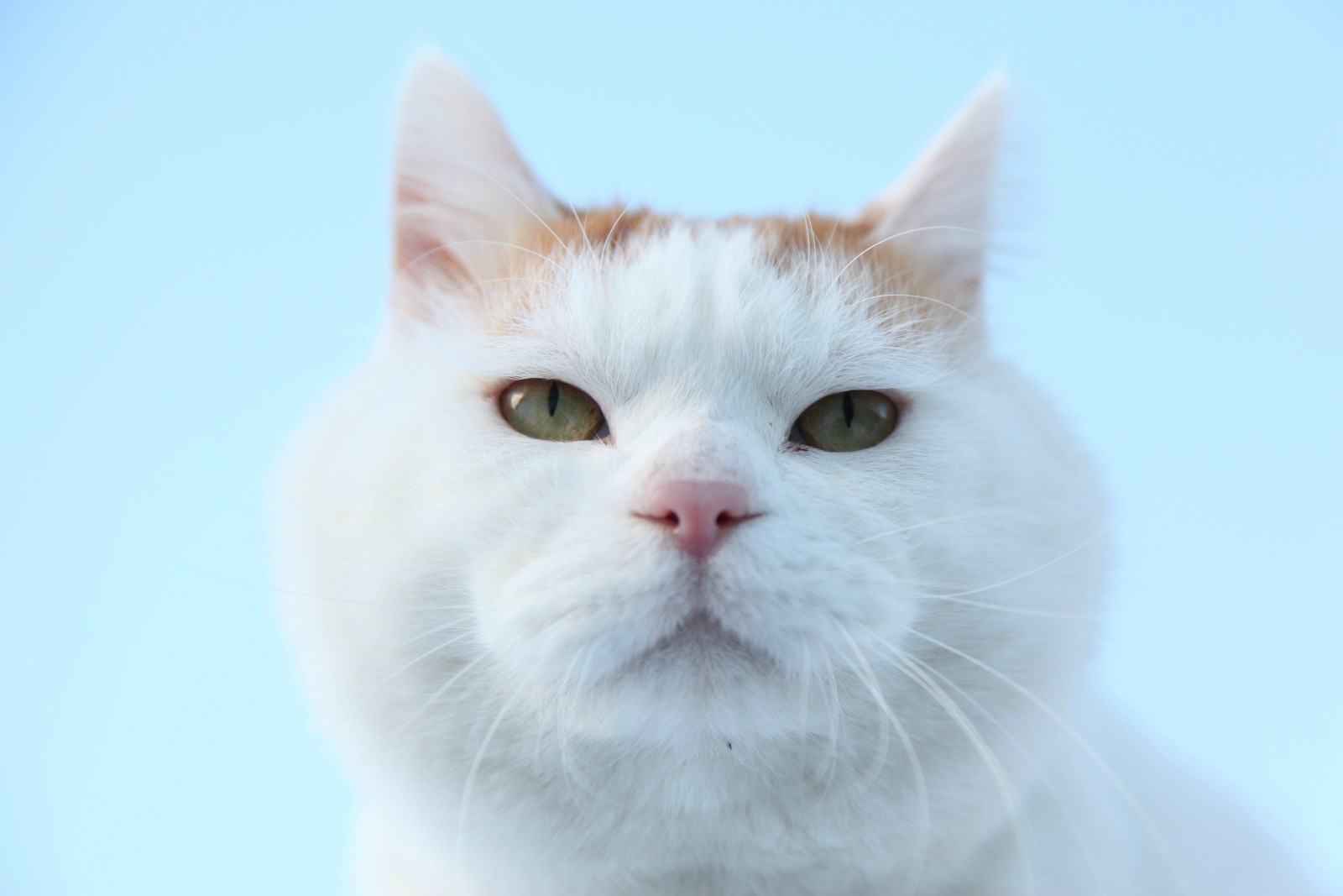 LiuOOLang的個人主頁（封面預(yù)覽） - 主頁封面設(shè)置 - 站酷設(shè)計師LiuOOLang原創(chuàng)素材 - 站酷ZCOOL