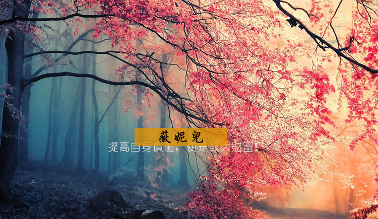 薇妮儿的个人主页（封面预览） - 主页封面设置 - 站酷设计师薇妮儿原创素材 - 站酷ZCOOL