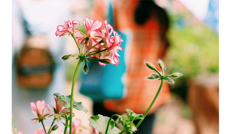 yaraaaaa的个人主页（封面预览） - 主页封面设置 - 站酷设计师yaraaaaa原创素材 - 站酷ZCOOL