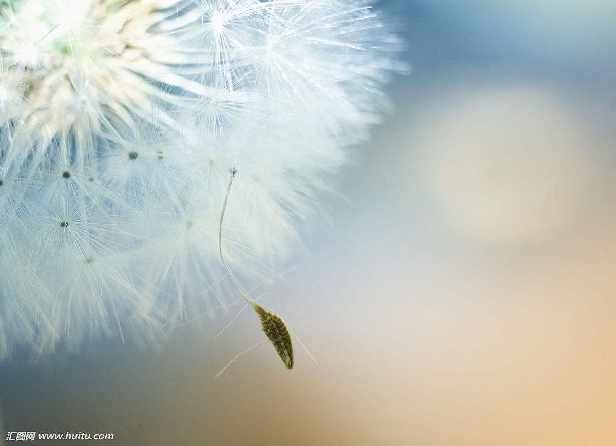 怪我过分美丽的个人主页（封面预览） - 主页封面设置 - 站酷设计师怪我过分美丽原创素材 - 站酷ZCOOL