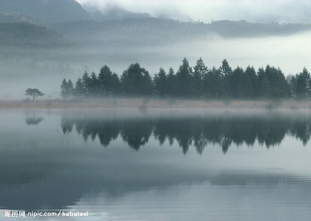 花前月下的贼的个人主页（封面预览） - 主页封面设置 - 站酷设计师花前月下的贼原创素材 - 站酷ZCOOL