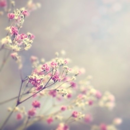 kirsche14的個(gè)人主頁(yè)（封面預(yù)覽） - 主頁(yè)封面設(shè)置 - 站酷設(shè)計(jì)師kirsche14原創(chuàng)素材 - 站酷ZCOOL