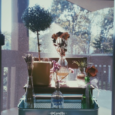 花花画画画画的个人主页（封面预览） - 主页封面设置 - 站酷设计师花花画画画画原创素材 - 站酷ZCOOL