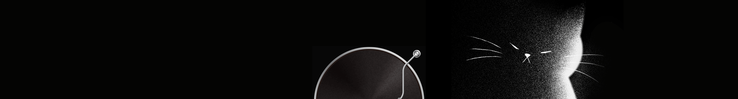 小毛君丶的個(gè)人主頁(yè)（封面預(yù)覽） - 主頁(yè)封面設(shè)置 - 站酷設(shè)計(jì)師小毛君丶原創(chuàng)素材 - 站酷ZCOOL