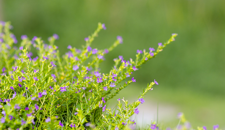 傳奇的個(gè)人主頁（封面預(yù)覽） - 主頁封面設(shè)置 - 站酷設(shè)計(jì)師傳奇原創(chuàng)素材 - 站酷ZCOOL
