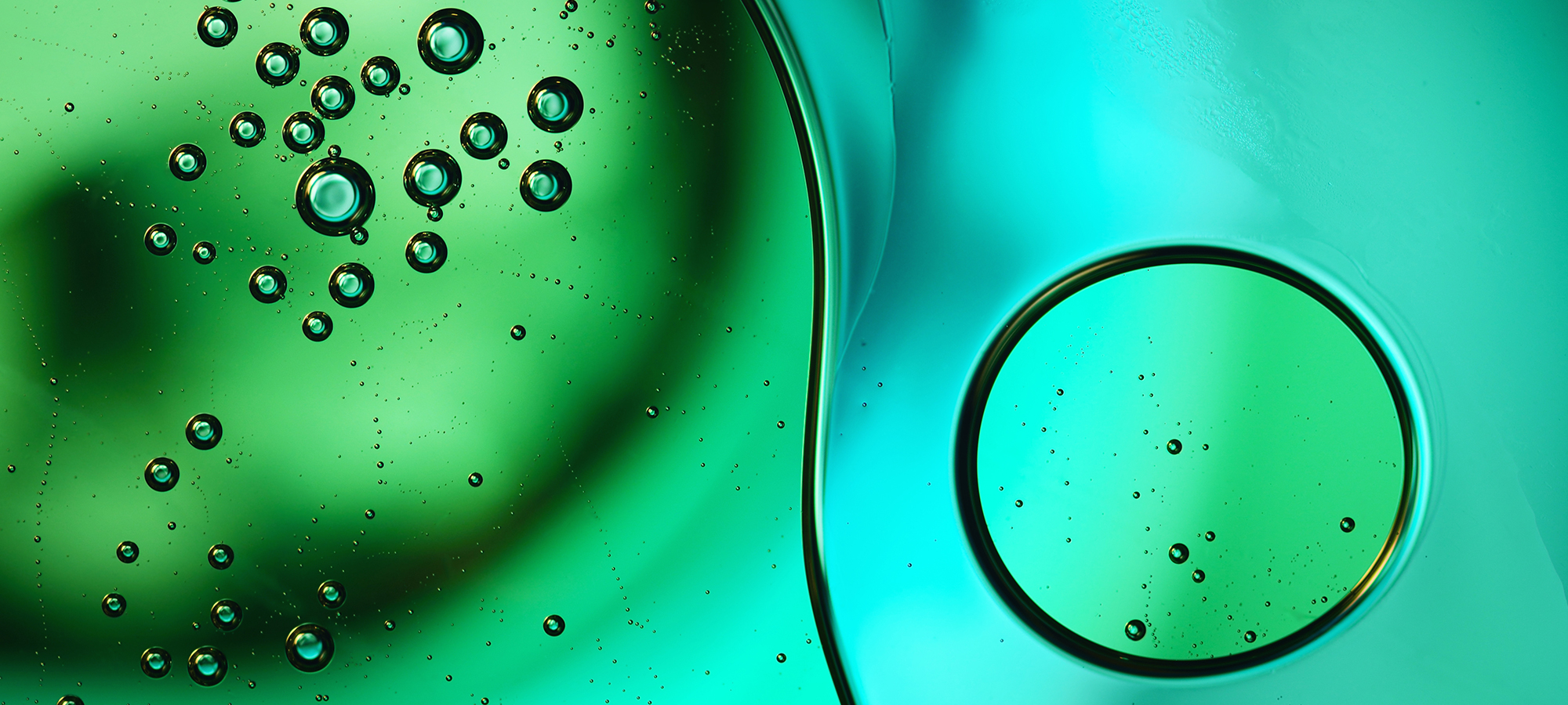 浅浅的小瑾的个人主页（封面预览） - 主页封面设置 - 站酷设计师浅浅的小瑾原创素材 - 站酷ZCOOL