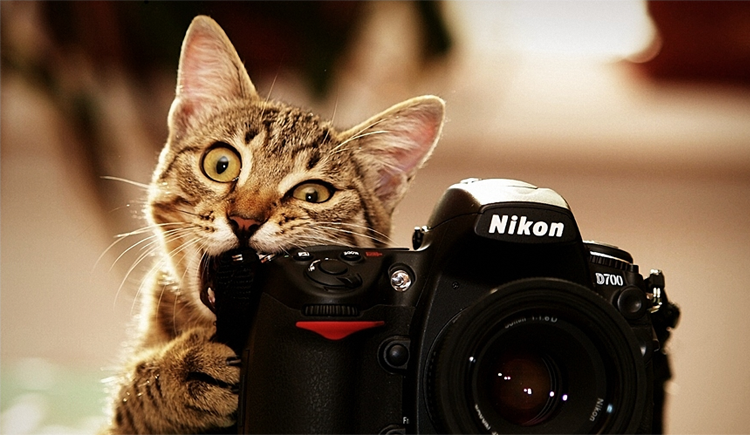 偉大的stylist的個人主頁（封面預(yù)覽） - 主頁封面設(shè)置 - 站酷設(shè)計師偉大的stylist原創(chuàng)素材 - 站酷ZCOOL